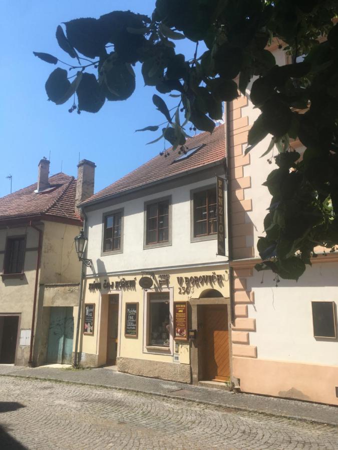 Hotel Penzion U Borovicku Litoměřice Exterior foto