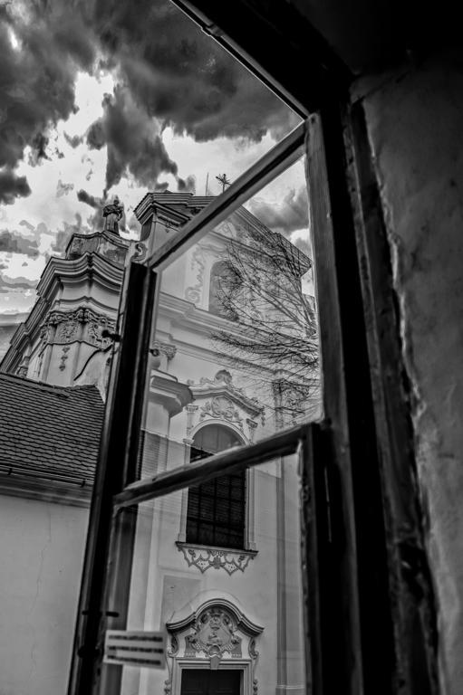 Hotel Penzion U Borovicku Litoměřice Exterior foto