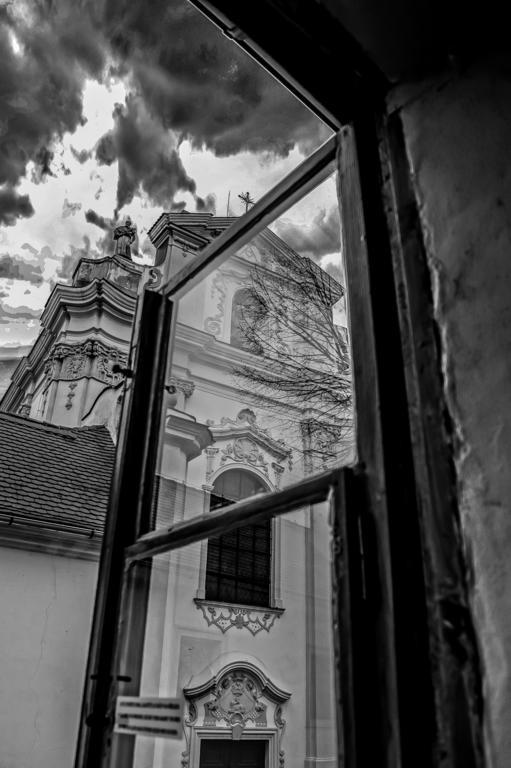 Penzion U Borovicku Litoměřice Exterior foto