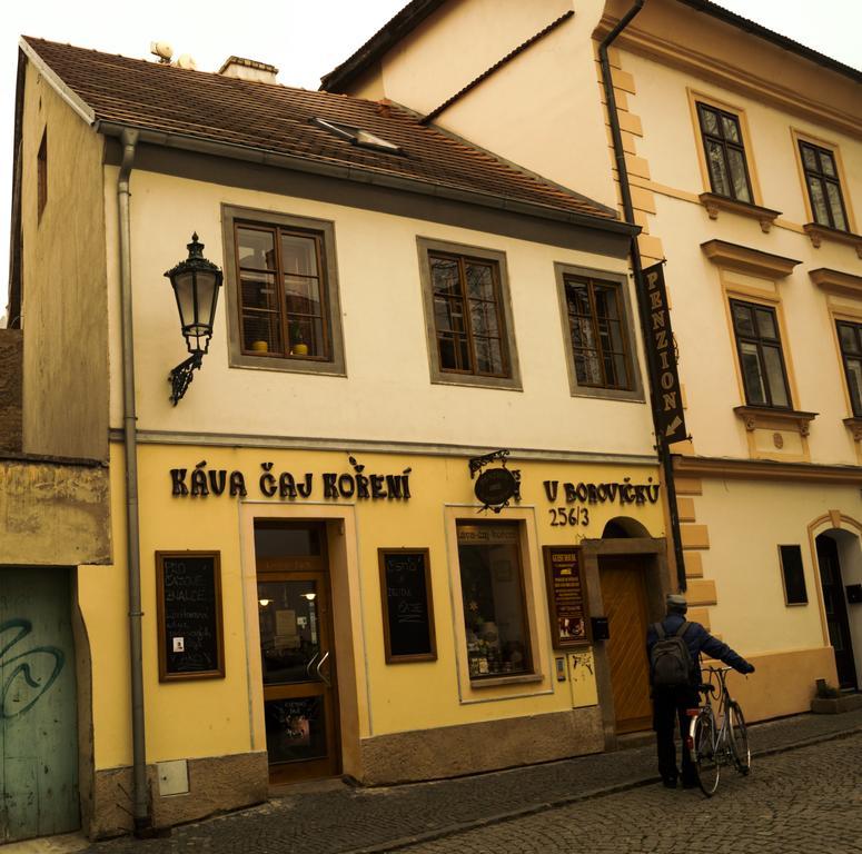 Hotel Penzion U Borovicku Litoměřice Exterior foto