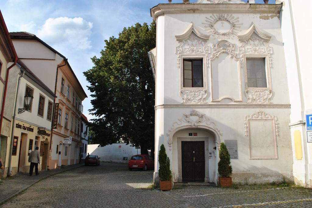 Hotel Penzion U Borovicku Litoměřice Exterior foto