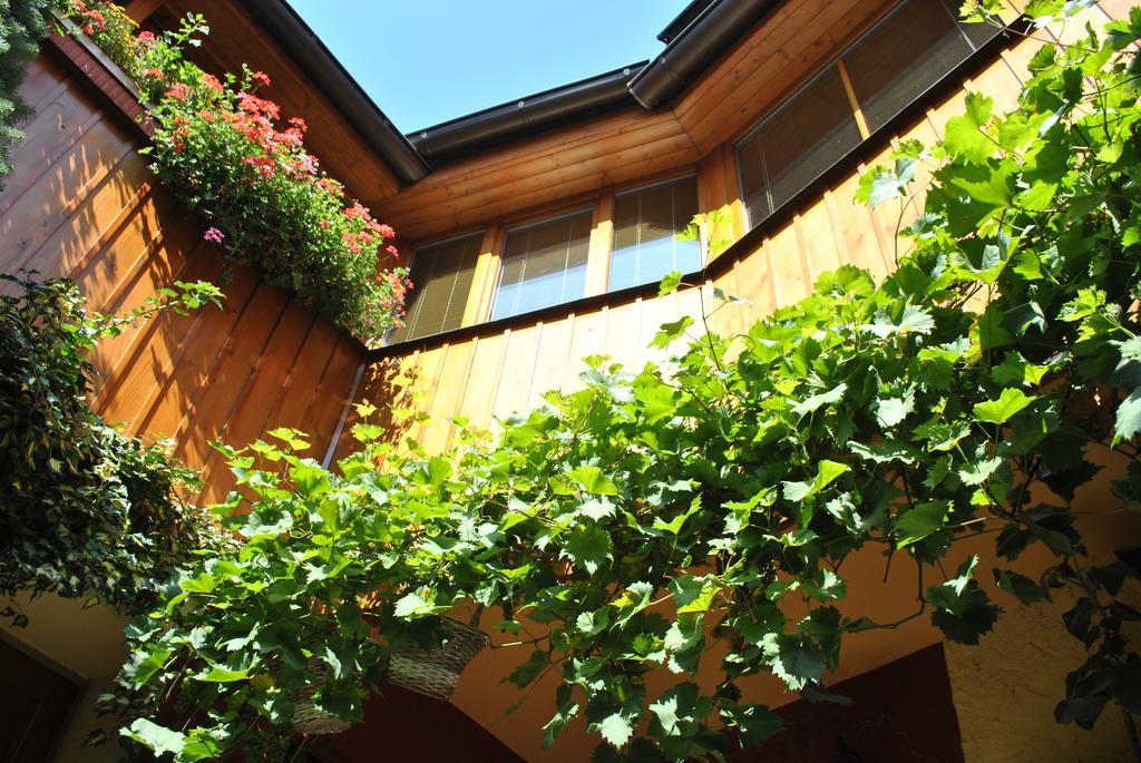 Penzion U Borovicku Litoměřice Exterior foto