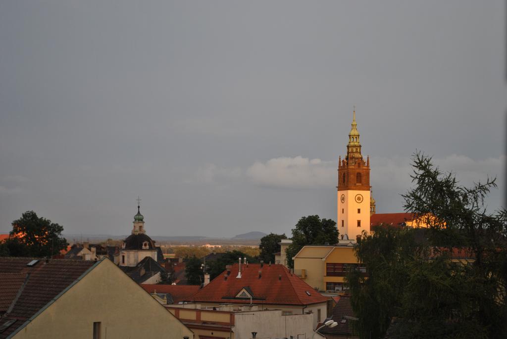 Hotel Penzion U Borovicku Litoměřice Exterior foto