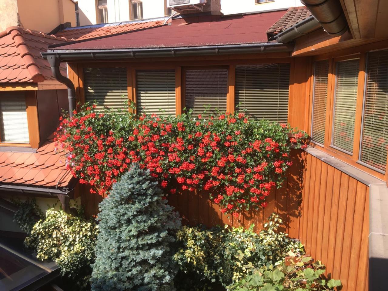 Penzion U Borovicku Litoměřice Exterior foto